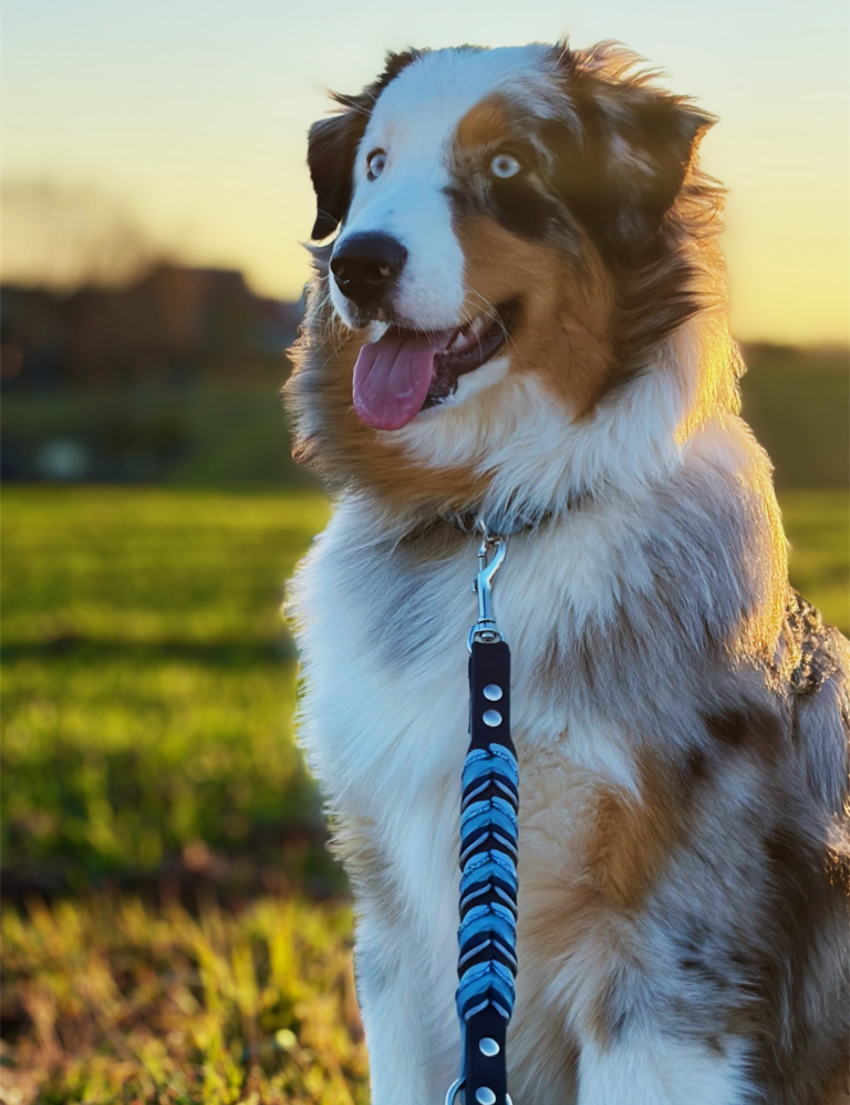 Leinen Fettleder Halsband geflochten