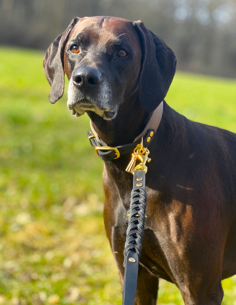 Entdecken Sie handgefertigte Hundeleinen und Halsbänder aus Fettleder, Paracord, Tau und Biothane von Peaceful Dogs Handmade.